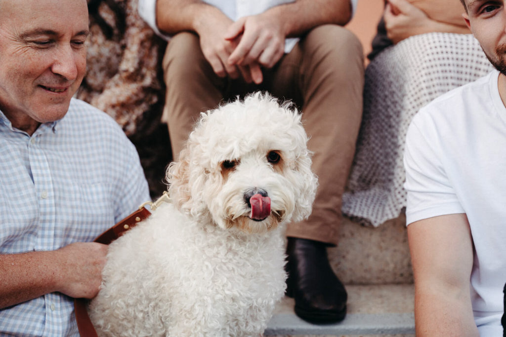 Family, Wedding & Newborn Photographer in Melbourne | Gill Juergens Photography | Dogs are always welcome! | Gill Juergens Photography