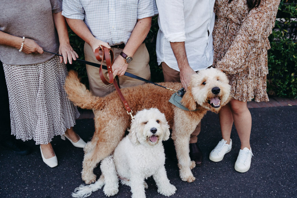 Family, Wedding & Newborn Photographer in Melbourne | Gill Juergens Photography | Dogs are always welcome! | Gill Juergens Photography