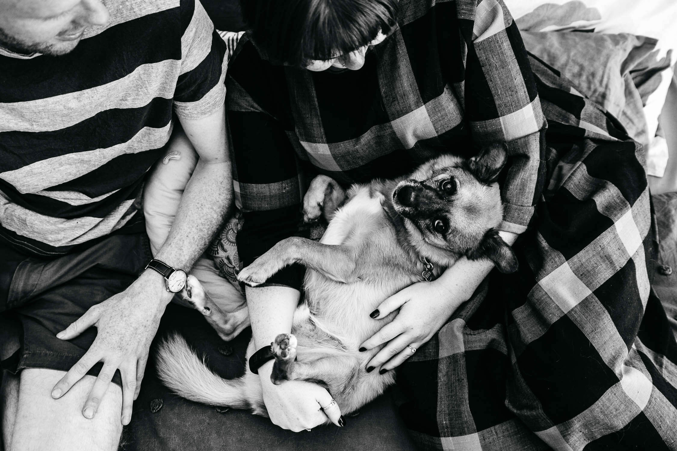 Family, Wedding & Newborn Photographer in Melbourne | Gill Juergens Photography | Engagement - in home photos with Diesel the dog | Gill Juergens Photography