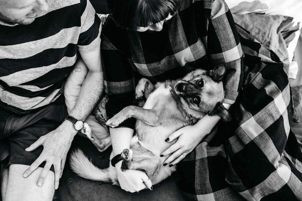 Family, Wedding & Newborn Photographer in Melbourne | Gill Juergens Photography | Engagement - in home photos with Diesel the dog | Gill Juergens Photography
