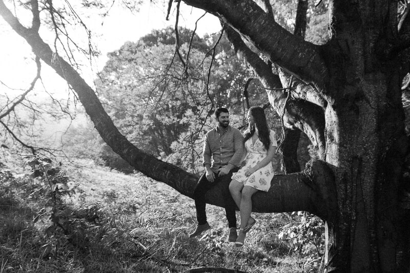 Family, Wedding & Newborn Photographer in Melbourne | Gill Juergens Photography | Engagement photos - love in the hills of the Dandenong Ranges | Gill Juergens Photography