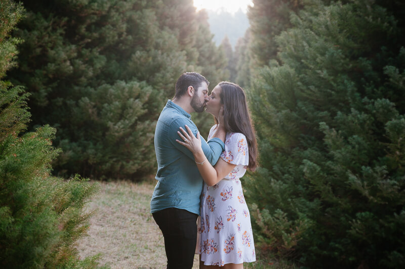 Engagement photos - love in the hills of the Dandenong Ranges | Gill Juergens Photography