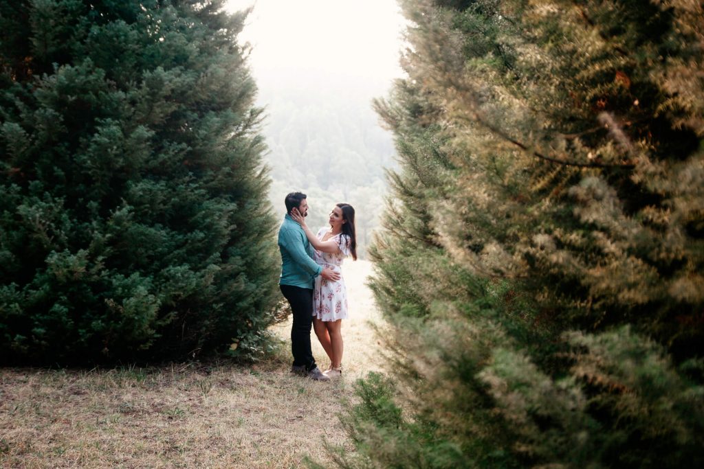 Family, Wedding & Newborn Photographer in Melbourne | Gill Juergens Photography | Engagement - love in the hills | Gill Juergens Photography
