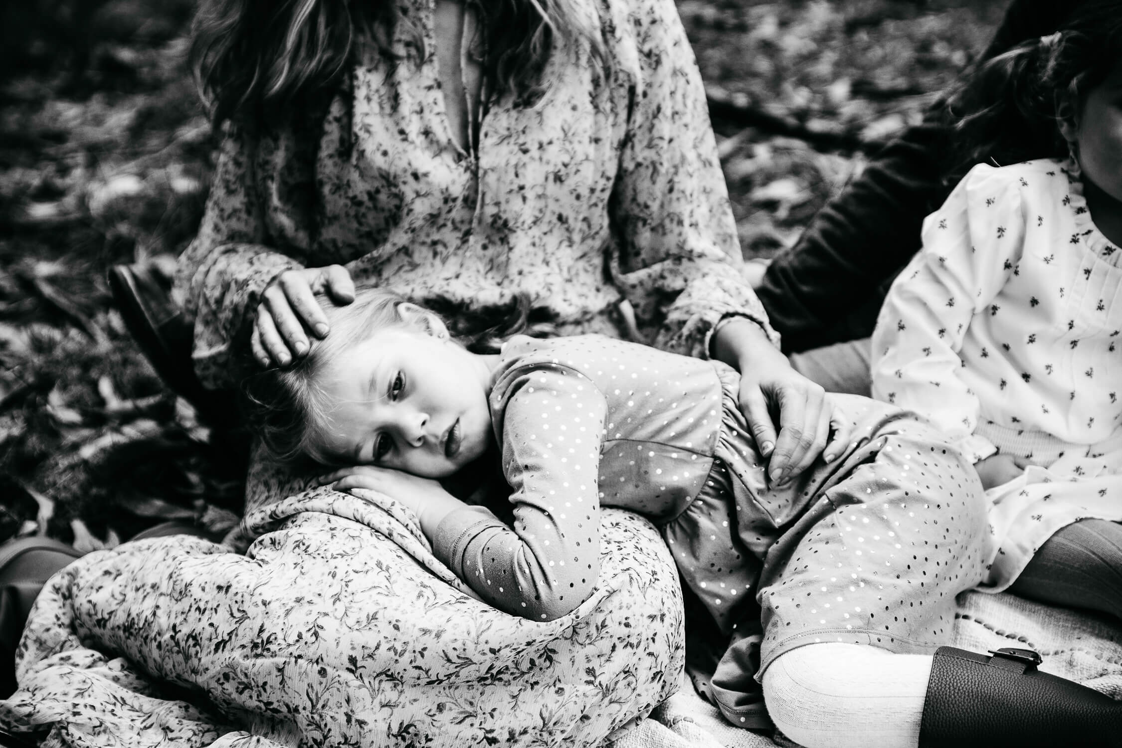 Family, Wedding & Newborn Photographer in Melbourne | Gill Juergens Photography | Family - dragons' nests | Gill Juergens Photography