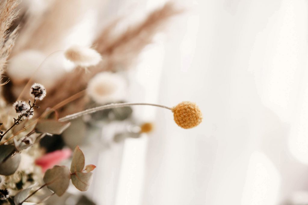 Family, Wedding & Newborn Photographer in Melbourne | Gill Juergens Photography | Idyllic in home lifestyle session | Gill Juergens Photography