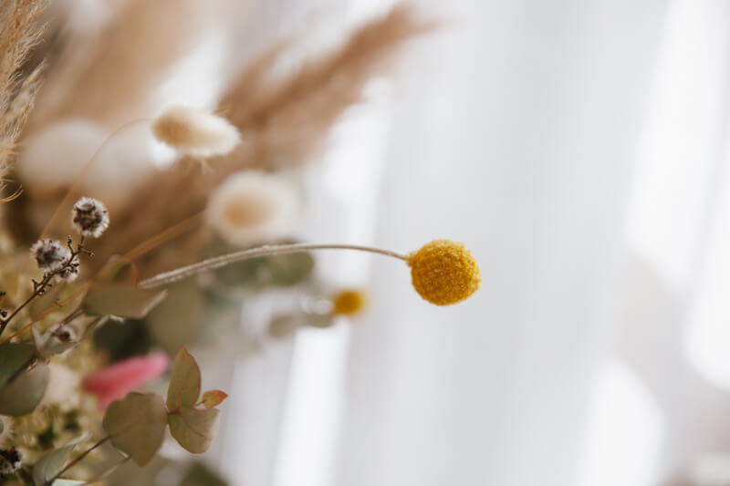 Family, Wedding & Newborn Photographer in Melbourne | Gill Juergens Photography | Idyllic in home lifestyle session with family photos in Melbourne | Gill Juergens Photography