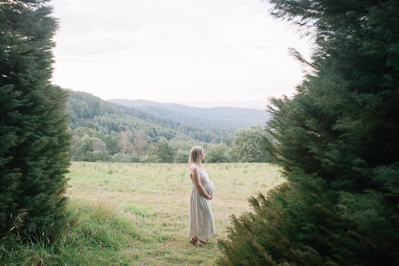 Maternity photos in Olinda with Louise and her family | Gill Juergens Photography