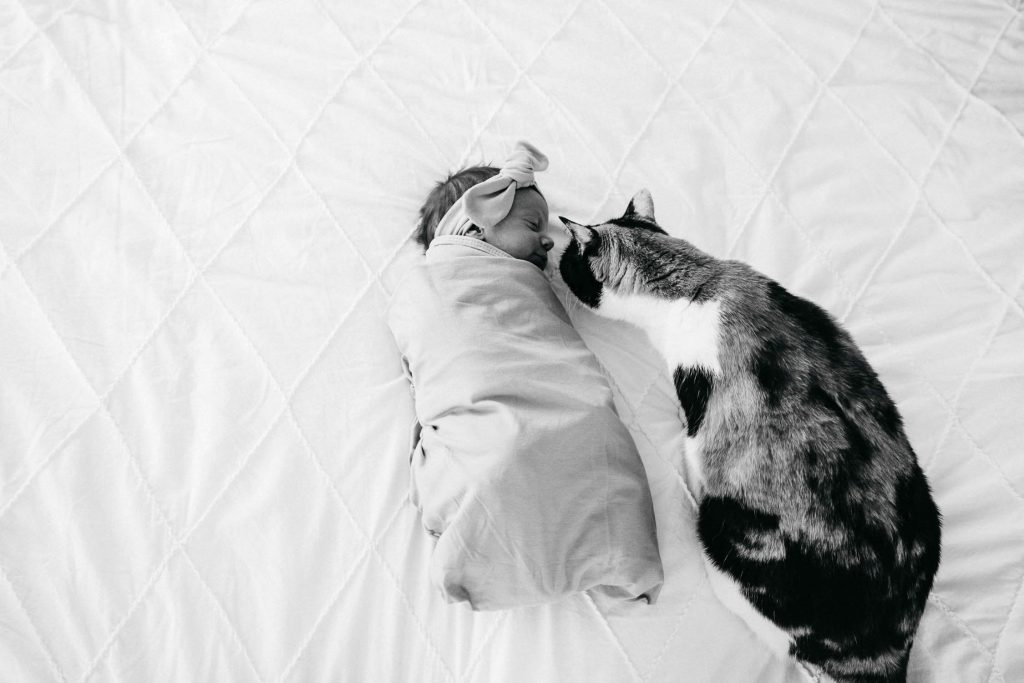 Family, Wedding & Newborn Photographer in Melbourne | Gill Juergens Photography | Baby Charlotte | Gill Juergens Photography