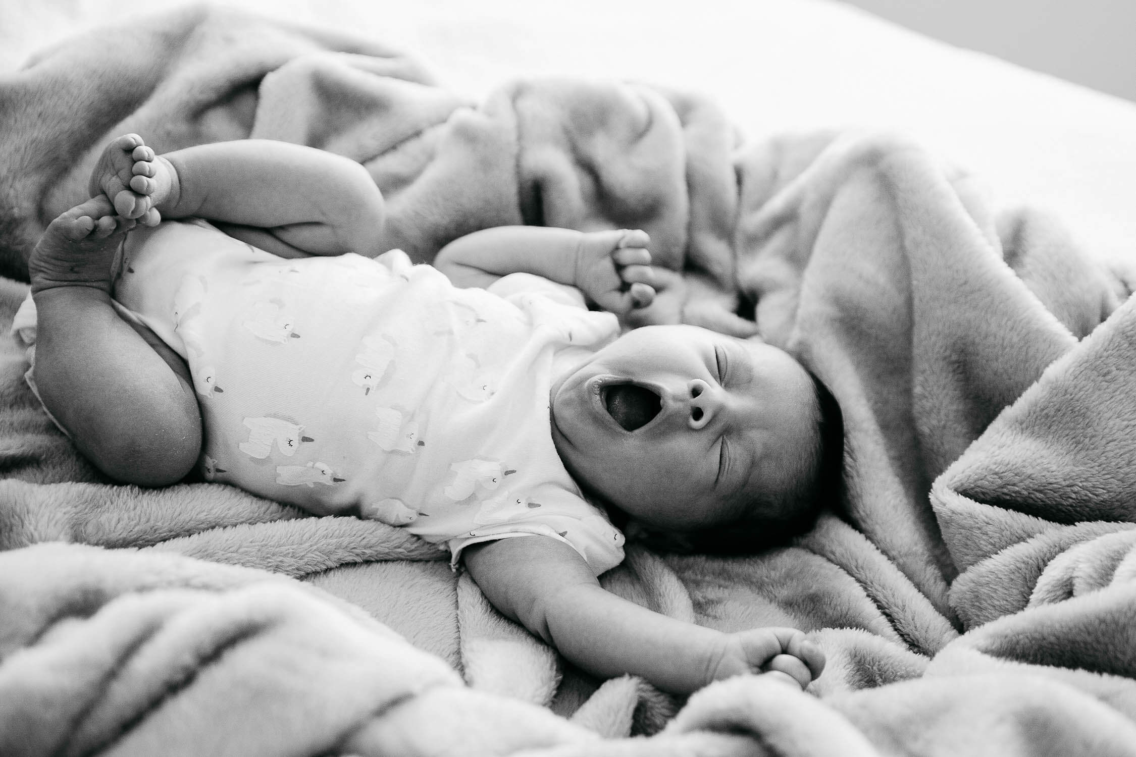 Family, Wedding & Newborn Photographer in Melbourne | Gill Juergens Photography | Baby Mila | Gill Juergens Photography