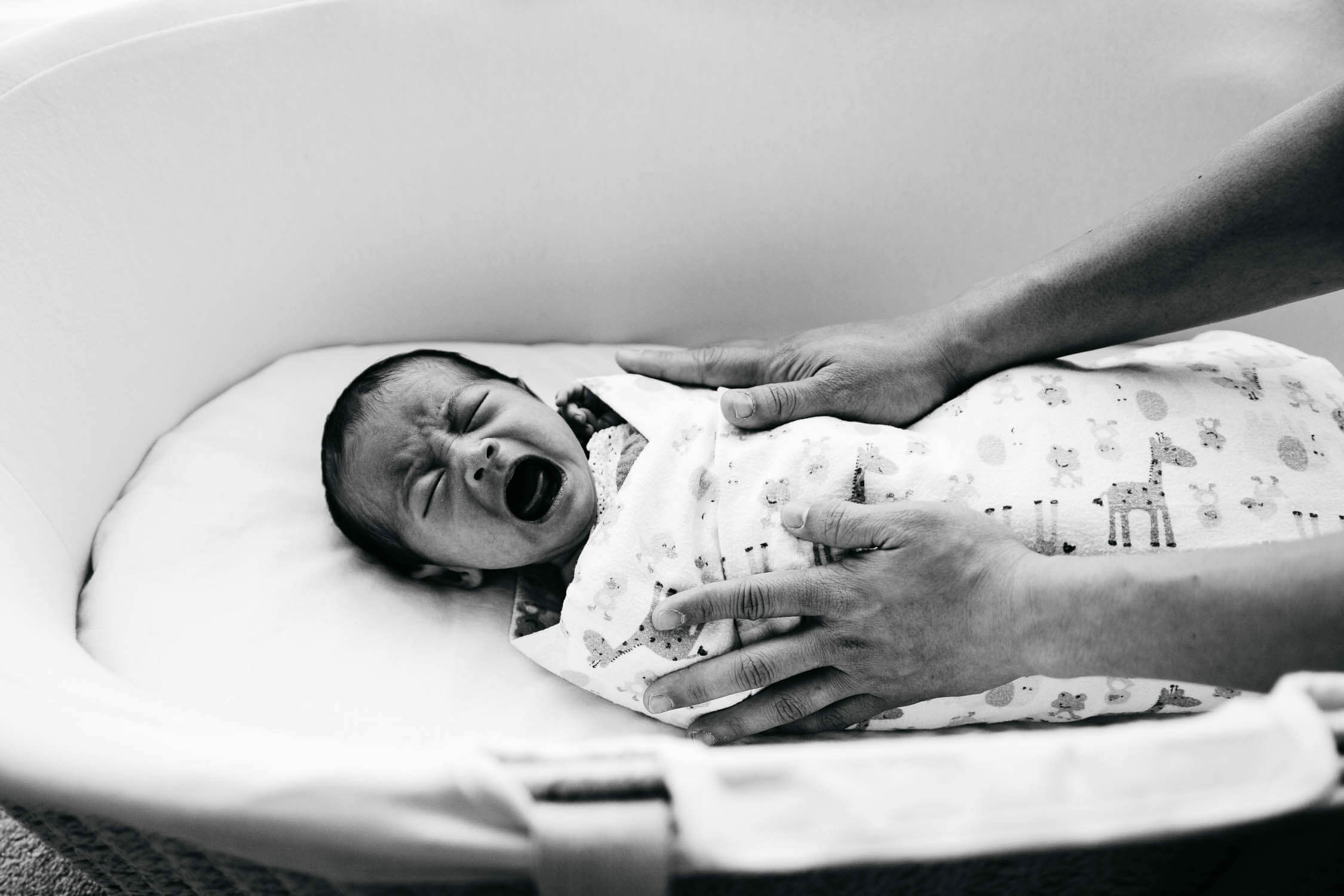 Family, Wedding & Newborn Photographer in Melbourne | Gill Juergens Photography | Melbourne lifestyle session | Gill Juergens Photography