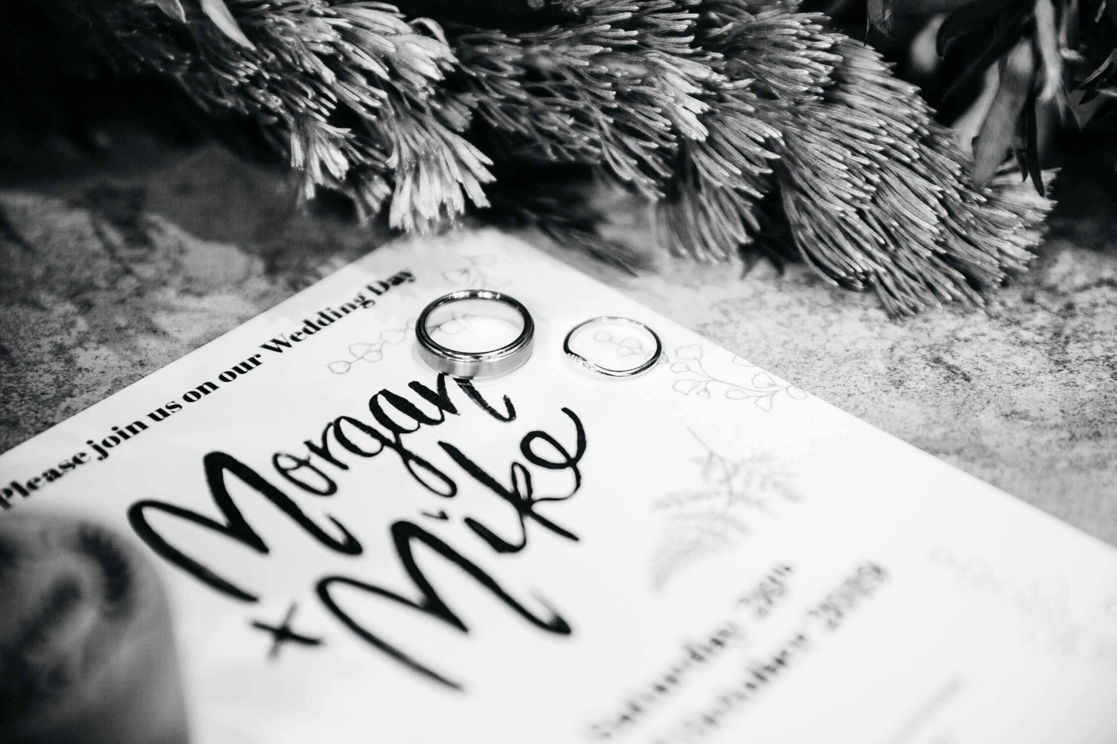 Family, Wedding & Newborn Photographer in Melbourne | Gill Juergens Photography | The colourful wedding of Mike and Morgan | Gill Juergens Photography