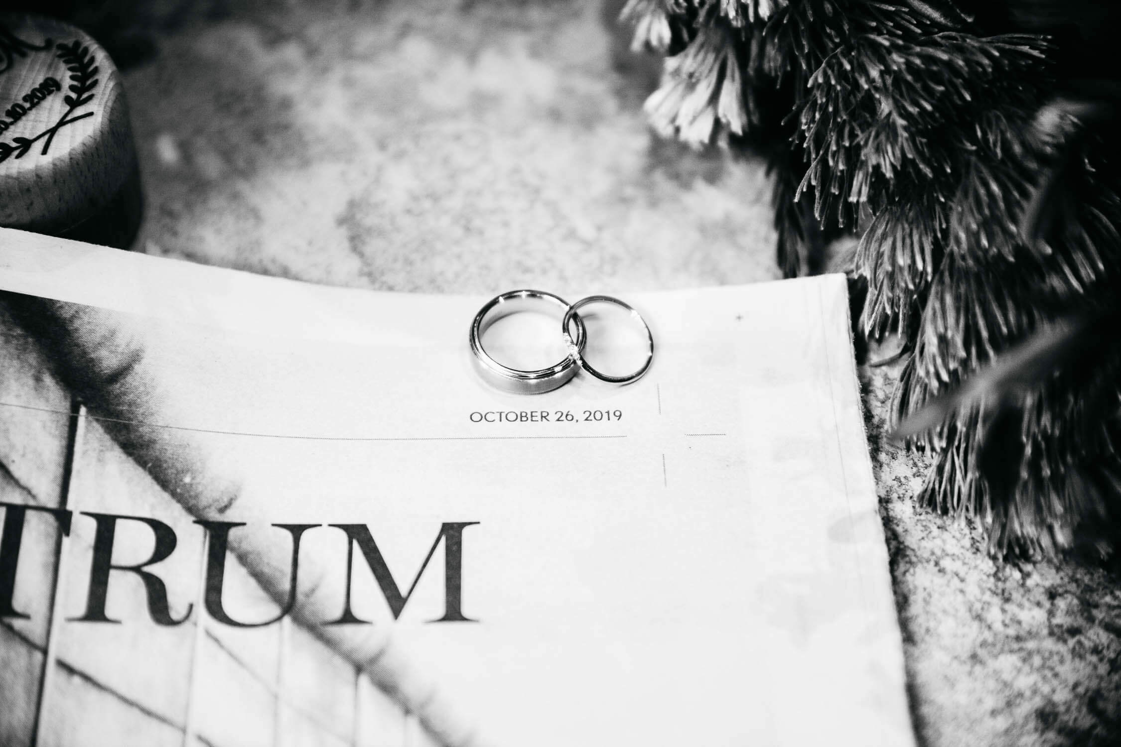 Family, Wedding & Newborn Photographer in Melbourne | Gill Juergens Photography | The colourful wedding of Mike and Morgan | Gill Juergens Photography