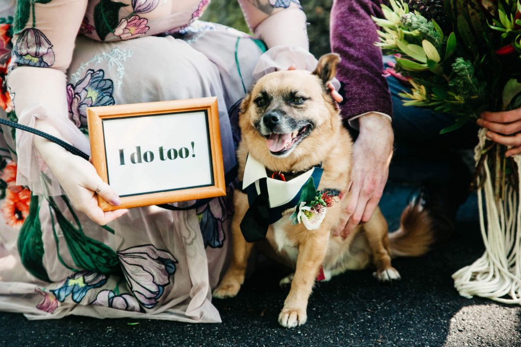 Family, Wedding & Newborn Photographer in Melbourne | Gill Juergens Photography | The colourful wedding of Mike and Morgan | Gill Juergens Photography